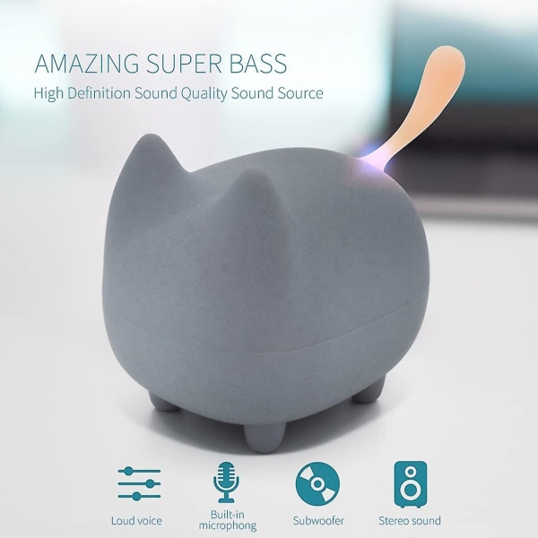 Bärbar Bluetooth högtalare, högtalare med klarhet stereo, inbyggd mikrofon, superbas, kraftfull