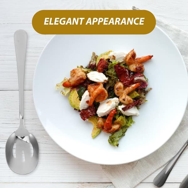 10 stk. serveringsskjesett i rustfritt stål inkluderer 5 solide og 5 hullsleiver, elegant polert