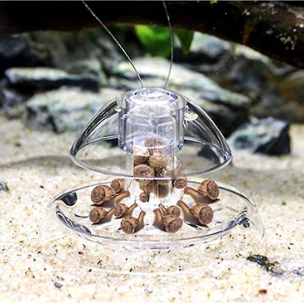 Akvarium Sneglefælde (1 stk., transparent