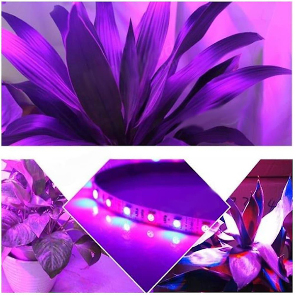 4x1m Lys Sæt Led Vækstlys Indendørs Planter 240 Leds 5050 Smd