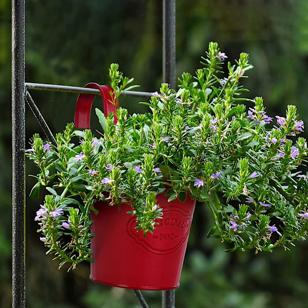 12 stk små hengende fargerike blomsterpotter med avtakbar krok