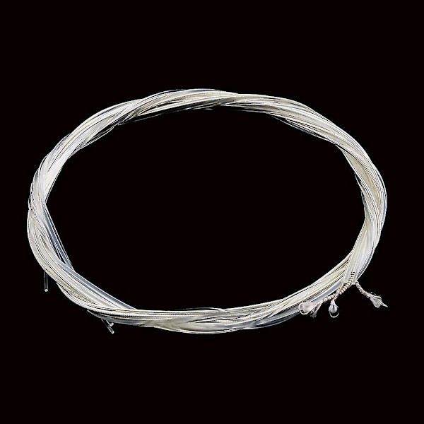 Klar Silver Nylon Strängar Set för Klassisk Gitarr