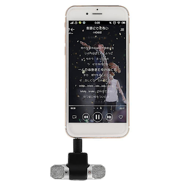 Mini Mic Digital Stereo Mikrofon för Mobiltelefon