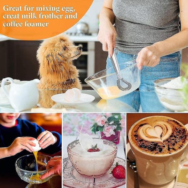Håndholdt Melkeskummer Eggpisker i Rustfritt Stål Mini