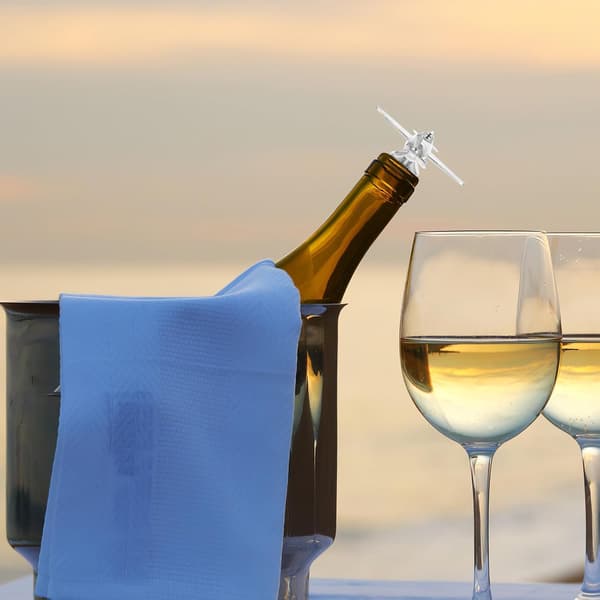 2 stk. flyformede vinflaskepropper for vin- og olivenoljeflasker, gjenbrukbart materiale av sinklegering og silikon