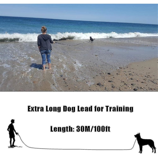 Hundetræningsledning 30m Lang Hundeledning Ekstra Lang Linje Hundeledning 30m Lang Hund