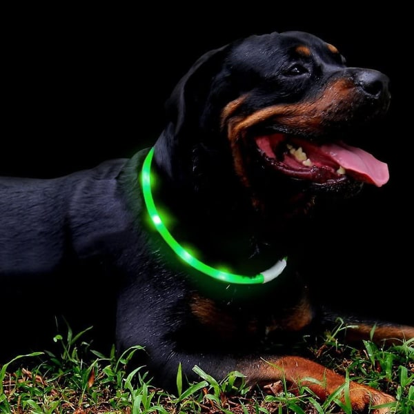 Led-hundehalsbånd, USB genopladeligt glødende hundehalsbånd, oplyst halsbånd Forbedret kæledyrssikkerhedssynlighed