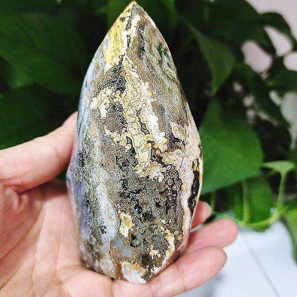 Naturlige steiner Havjade Krystall Agat Mineralprøve