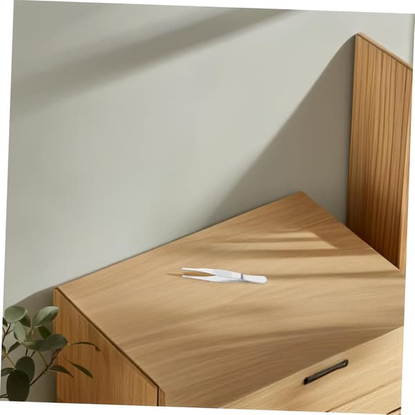 Øjenbrynspincet i rustfrit stål Præcisionspincet til kvinder Ansigtsfjerner Øjenvipper