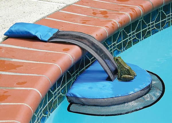 Hydrotools By Swimline Froglog Evakueringsrampe Til Swimmingpools Og Spas