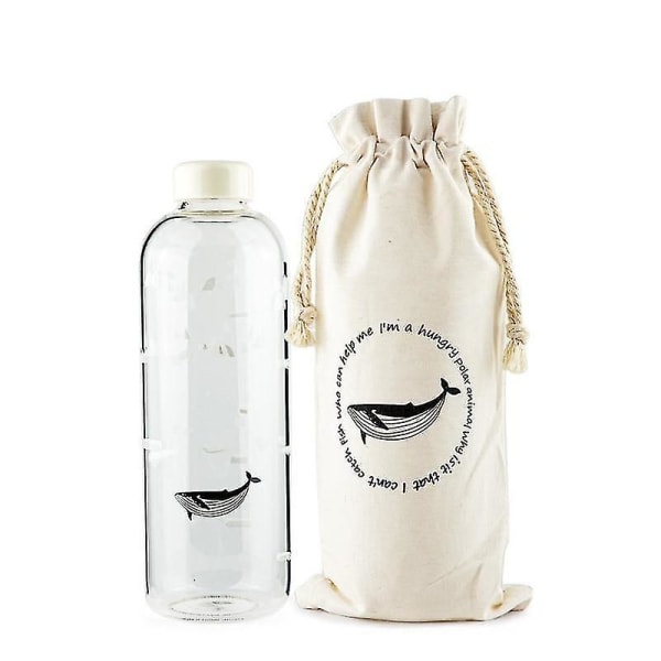 1000ml Ocean Series Sälval Glasvattenflaska med Sleeve