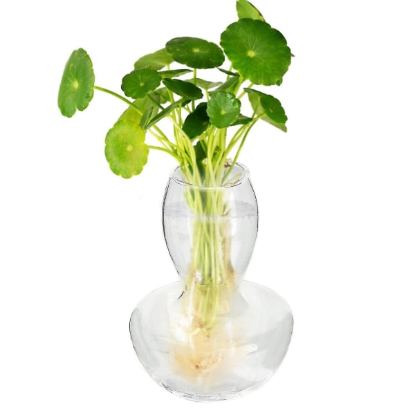 Invertert sjampinjong glass vase gjennomsiktig blomsterpotte d30d | Fyndiq