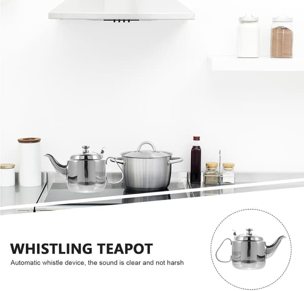 Tekanne med stor kapasitet for husholdning, 800 ml rustfritt stål