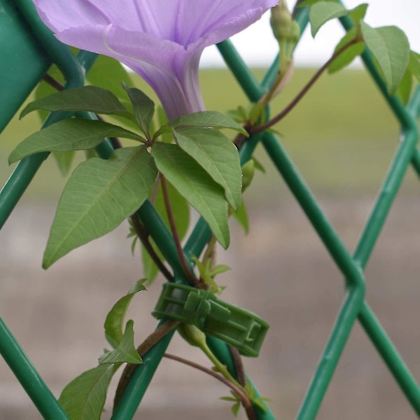 200 stk Hageplante Støtte Klips, Tomat Klips, Spalte Klips, For Agurk Blomst Squash Vine, 1 (haoyi-yuhao