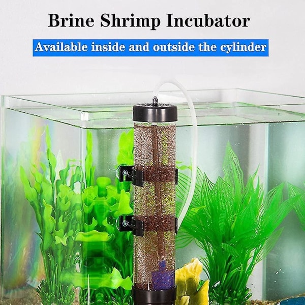 Brine Shrimp Eggs Inkubator Reker Breeding Hatcher Kit