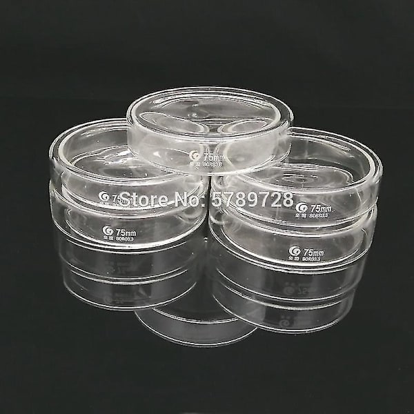 5 stk. 75mm Borosilikat Glas Petriskål Bakterier