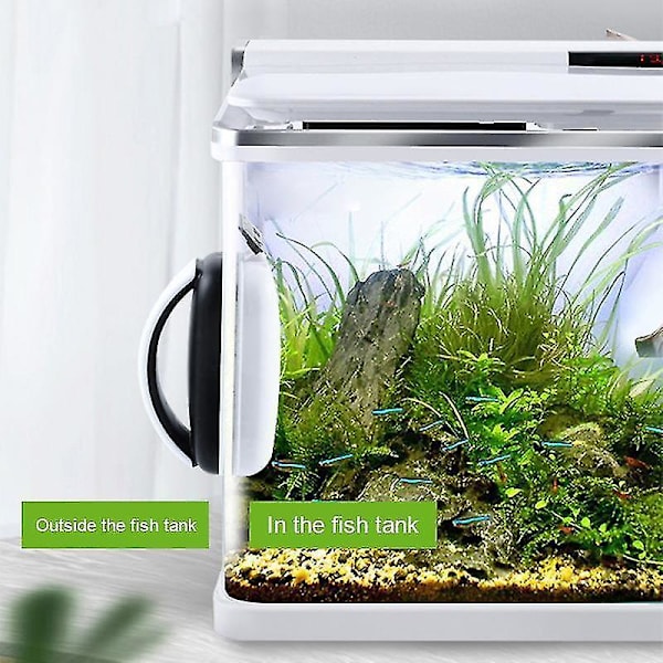 Akvarie Magnetrenser Børst Glasvisker Dobbeltsidet