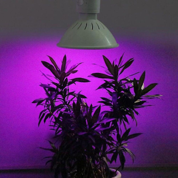 LED-kasvilampun polttimo sisätiloihin, kiinnitettävä, täyspektrinen