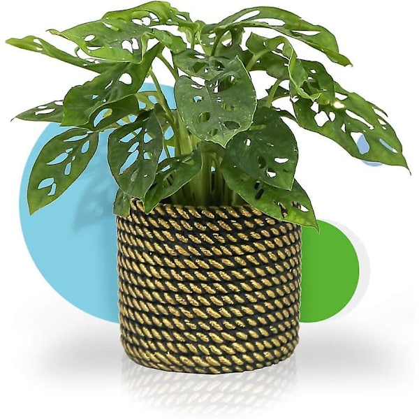 Blomsterpotte i Cement - 4,7\" Cementpotter med Drænhul Moderne Dekorativ til Indendørs Planter