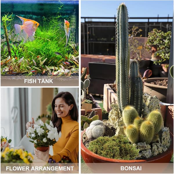 Konserverad grön mossa 60g förpackning evig mossa för DIY-hantverk blomsterarrangemang