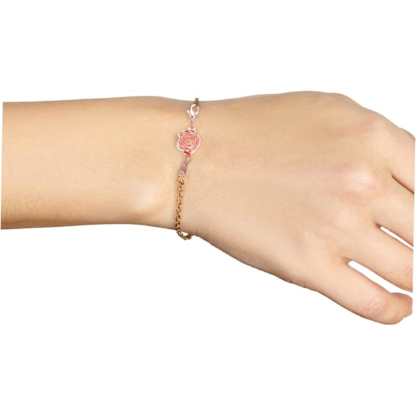 DIY Smyckesförlängare Kopplingsset 4st Armband Lås Förlängare Halsband Kedjeförlängare för Smyckesreparation
