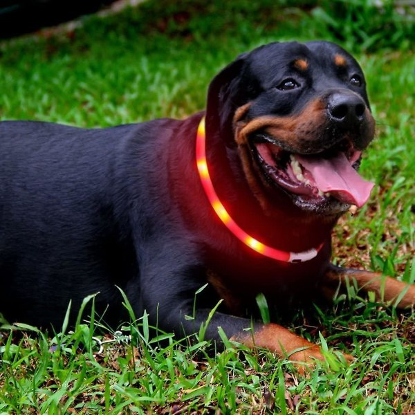 Led hundehalsbånd, usb oppladbart glødende hundehalsbånd, lyshalsbånd forbedret synlighet for kjæledyrsikkerhet