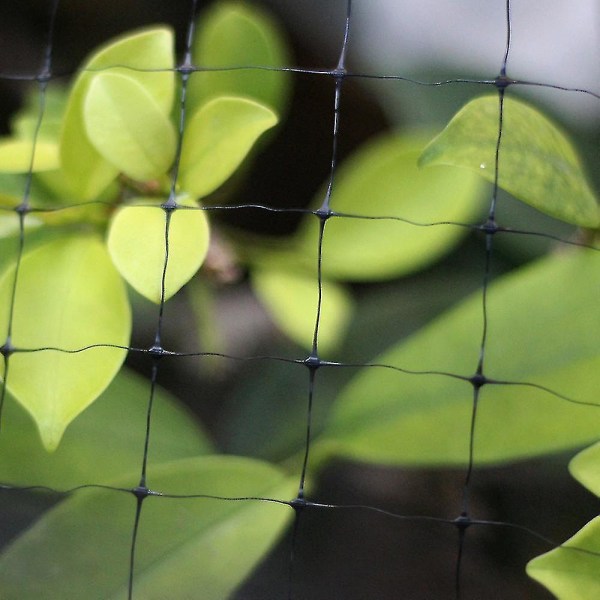 Anti Bird Netting Heavy Duty Hageplanter Fruit Tree Protective Net