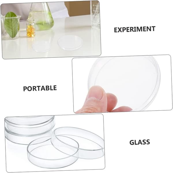 Petriskålar i glas med utmärkt transparens och värmebeständighet 10 st