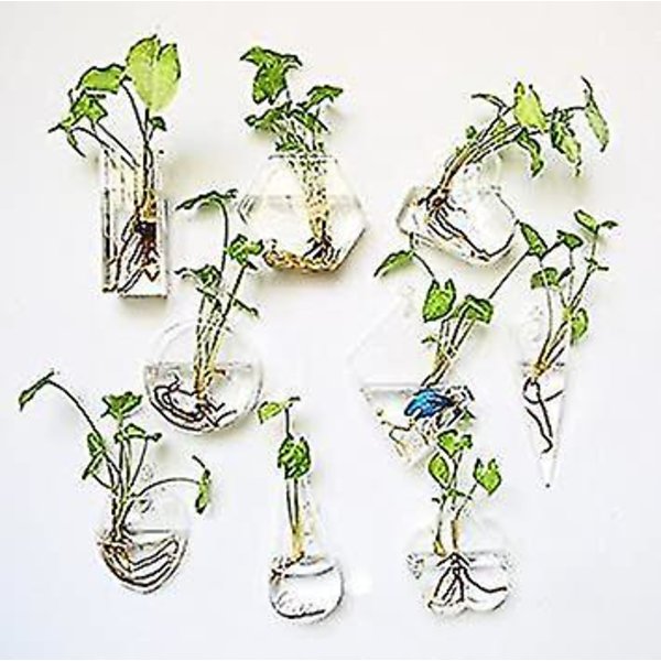 Väggmonterad Akvarium Glasvas Hydroponisk Dekoration