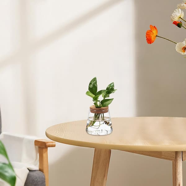 3 st. hydroponiska vaser i glas för växter, 400 ml vardera med korkpropp