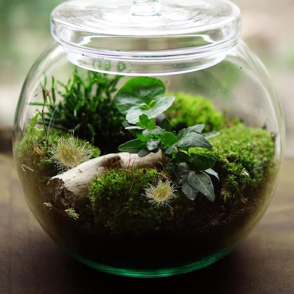 Modellgressdotter for Diorama-landskapsarbeid, 28 stk. Miniatyrgressklumper Grønne blader