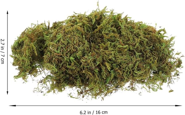 Konserverad grön mossa 60g förpackning evig mossa för DIY-hantverk blomsterarrangemang