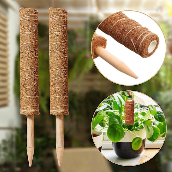 Yegbong Klatrekolonne Plante Støtte