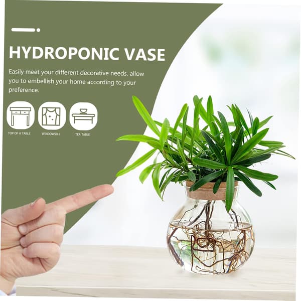Hydroponisk växtvas i glas för skrivbord med design