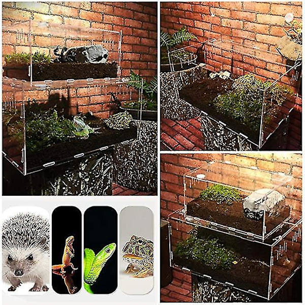 Transparent Reptilkasse Akryl Opdrætstanke 29cm Firben
