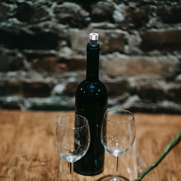 5 st vinstoppinsatser flaskproppar för glasflaskor silikon zinklegering lätt robust vinbevarare