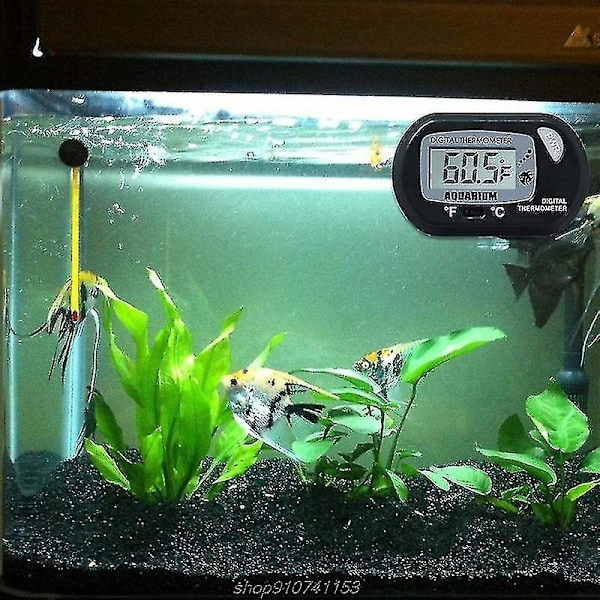 Akvarietermometer Digital LCD Vann Termometer