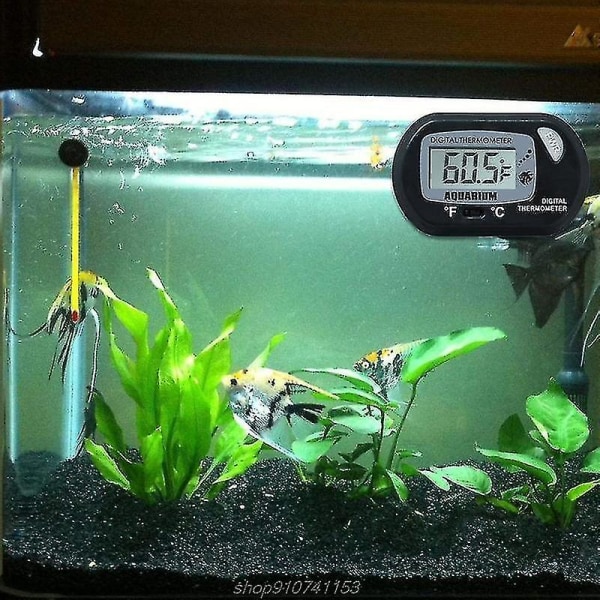 Akvarietermometer Digital LCD Vattentermometer