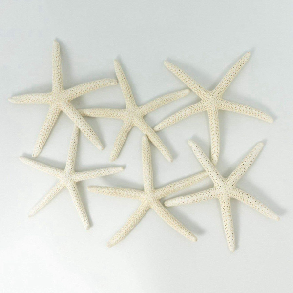 24 stk Hvite Finger Sjøstjerner 5-10cm Dekorative Fem-finger Sjøstjerner-yuhao