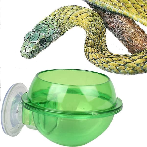 2 stk. Sugeskåls-Reptilfoder Anti-Flugt Reptil Madskål Til Skildpadde Gecko Slanger