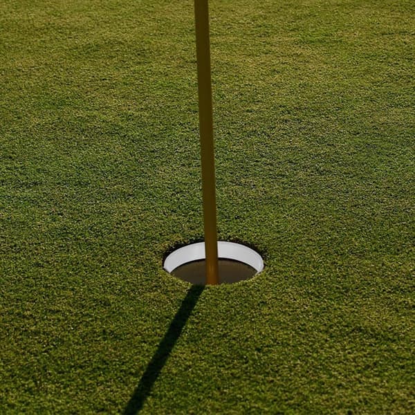 6 stk Golfhullkoppringer Hvit Plast Golf Putting Treningsenhet Hullforsterkningsringer