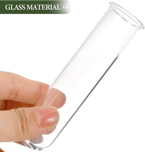 5 st växtförökningsstationrör Glas Blomvattenrör Modern stil Elegant