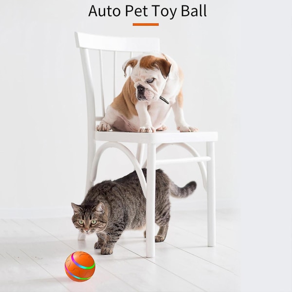 Bigtuto Interactive Dog Ball Leker Innendørs Hunder Katter a253 | Fyndiq
