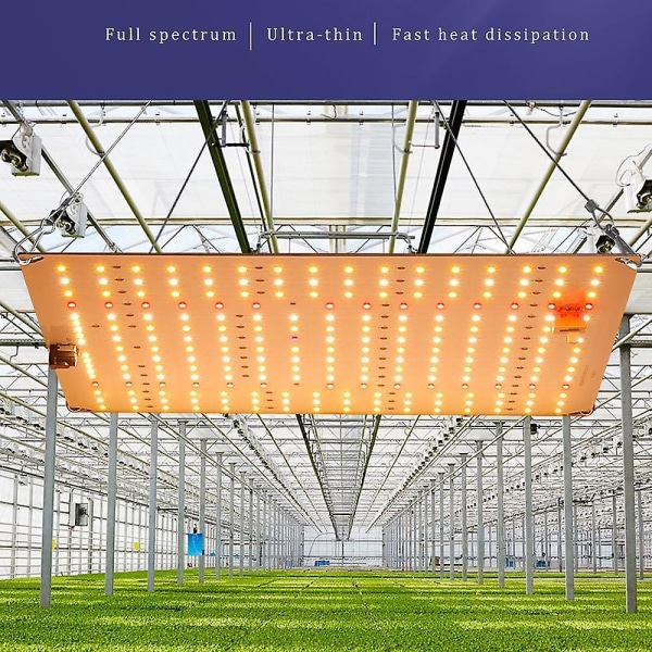 Led Grow Lights Innendørs Planter Full Spectrum Drivhus 20