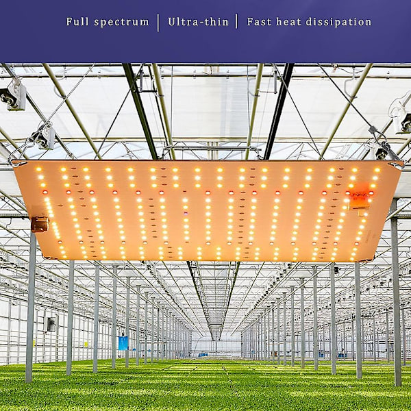 Led Vækstlys Indendørs Planter Fuld Spektrum Drivhus 20