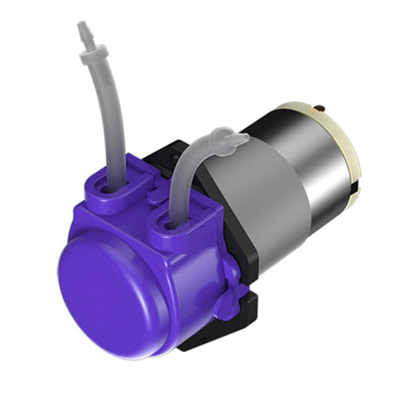 Mini Husholdningsvannpumpe Stille Selvsugende Pumpe Med Slange Automatisk Pumpe Med Sterk Kraft 12A