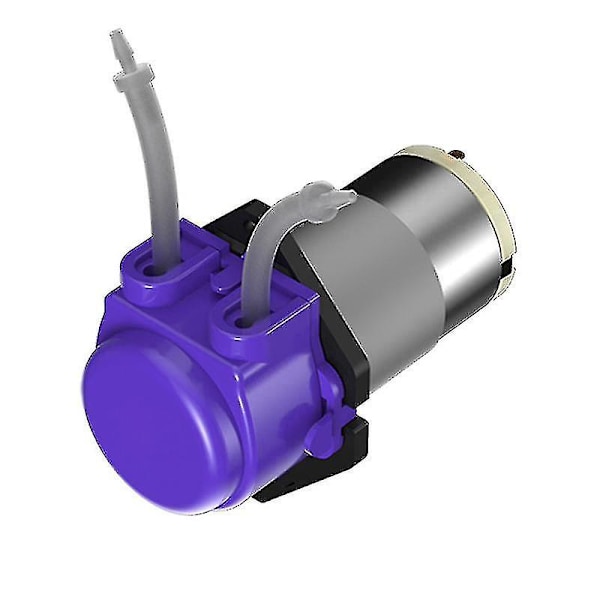 Mini Husholdningsvannpumpe Stille Selvsugende Pumpe Med Slange Automatisk Pumpe Med Sterk Kraft 12A