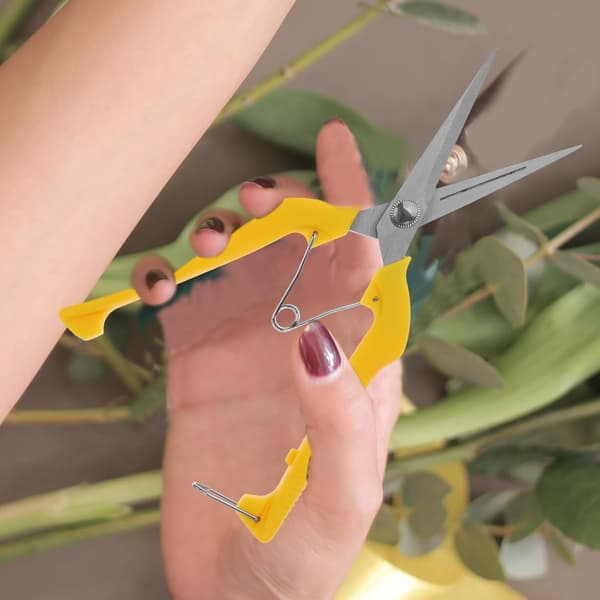 Frugtsaks i rustfrit stål med ergonomisk håndtag til havearbejde og beskæring af blomster