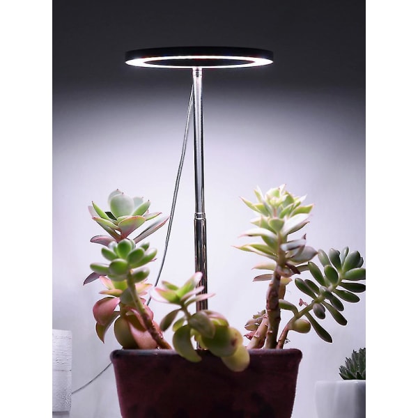 Plant Grow Light LED Full Spectrum Innendørs Justerbar 2 Pack
