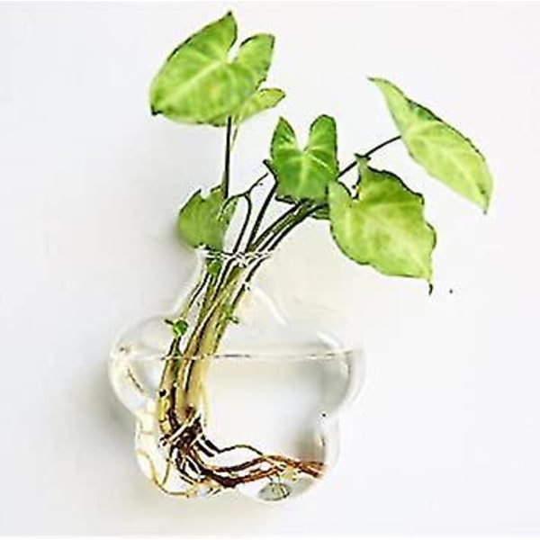 Väggmonterad Akvarium Glasvas Hydroponisk Dekoration